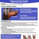 BARKLESS Dog Muzzle, Soft Silicone Basket Muzzle for Dogs, Allows Panting and Drinking, Prevents Unwanted Barking Biting and Chewing, Included Collar and Training Guide, Medium Breeds