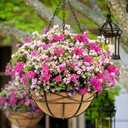 2 Pack 16 Inch Hanging Planters for Outdoor Plants Metal Wire Flower Baskets with Coco Liner & Plastic Saucer Large Deep Hanging Plant Pots for Porch Balcony Garden Dcor