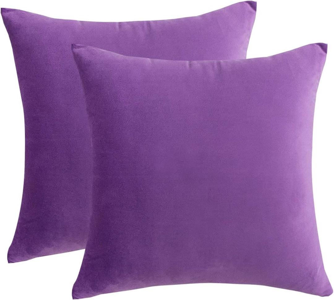 RainRoad Velvet Decorative Throw Pillow Covers Cushion Cover Pillow Case for Sofa Couch Bed Chair Soft Square Dark Purple Throw Pillows 18x18 Inch,Set of 2