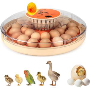 ZEMIRO CHARGE Serie II - 30 Egg Incubator for Experienced Hands-On Hatchers, Auto Egg Turn, Manual Humidity Control (Water Fill), Temperature Control, Real-Time Display, Egg Candler