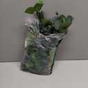 Juexica Artificial Hanging Eucalyptus Wall Decor Boho Bedroom Wall Decor with LED String Light for Home Office Farmhouse Nursery Bathroom Kitchen