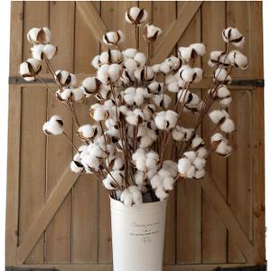 idyllic Cotton Stems Decor Branches, Cotton Flowers Plants for Decorations, Dried Flowers for Vase, 6 Pcs-31 Inches Tall - 12 Bolls per Stem