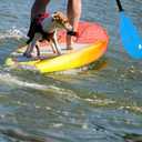Karltion Kayak Paddle - Adjustable 2 Pieces Aluminum Alloy Shaft with Glass Fiber Blade for Surfing,Oar Fishing Easy Packable Travel,Blue, 86"-1 paddle 