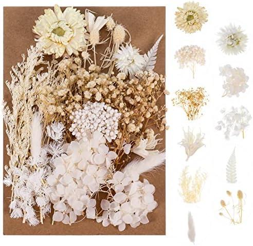 AhlsenL Real Natural Dried Flowers - Mixed Hydrangeas, Daisies, White Decorative for DIY Candle Resin Jewelry Nail Pendant Crafts (Beige)