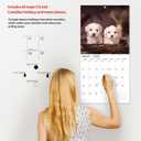 3 x windrio 2026 Wall Calendar, Calendar 2026, July 2025 - December 2026, Wall Calendar Maltese, 12" x 24" Opened,Full Page Months Thick & Sturdy Paper for Calendar Organizing & Planning