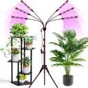 Grow Lights for Indoor Plants Full Spectrum with Stand and Timer, 6 Heads LED Plant Lights for Indoor Growing, Standing Floor House Plant Lamp for Seed Starting. (Red+Blue+White)