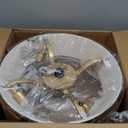 WONGU Boho Fandelier Ceiling Fan with Light and Remote Rattan Chandelier Fan Gold Caged Ceiling Fan with Light for Bedroom, Living Room NurseryFoyerKitchen6 Speed, Timing Adjustable Height