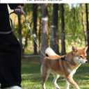 2 x Joytale Tangle-Free Slip Leads for Dogs, 6 FT Slip Leash with Padded Double Handle, Reflective Nylon Training Leash for Small Medium Dogs 15-40 Lbs, Gray