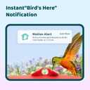 Birdfy Smart Hummingbird Feeder with Camera, Auto Detect Record Bird Video, Instant Notification, Live View, Solar Powered Hummingbird Feeders for Outdoors Ant Bee Proof, 14oz, Gift for Bird Lovers