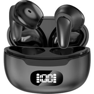 Language Translation Earbuds
