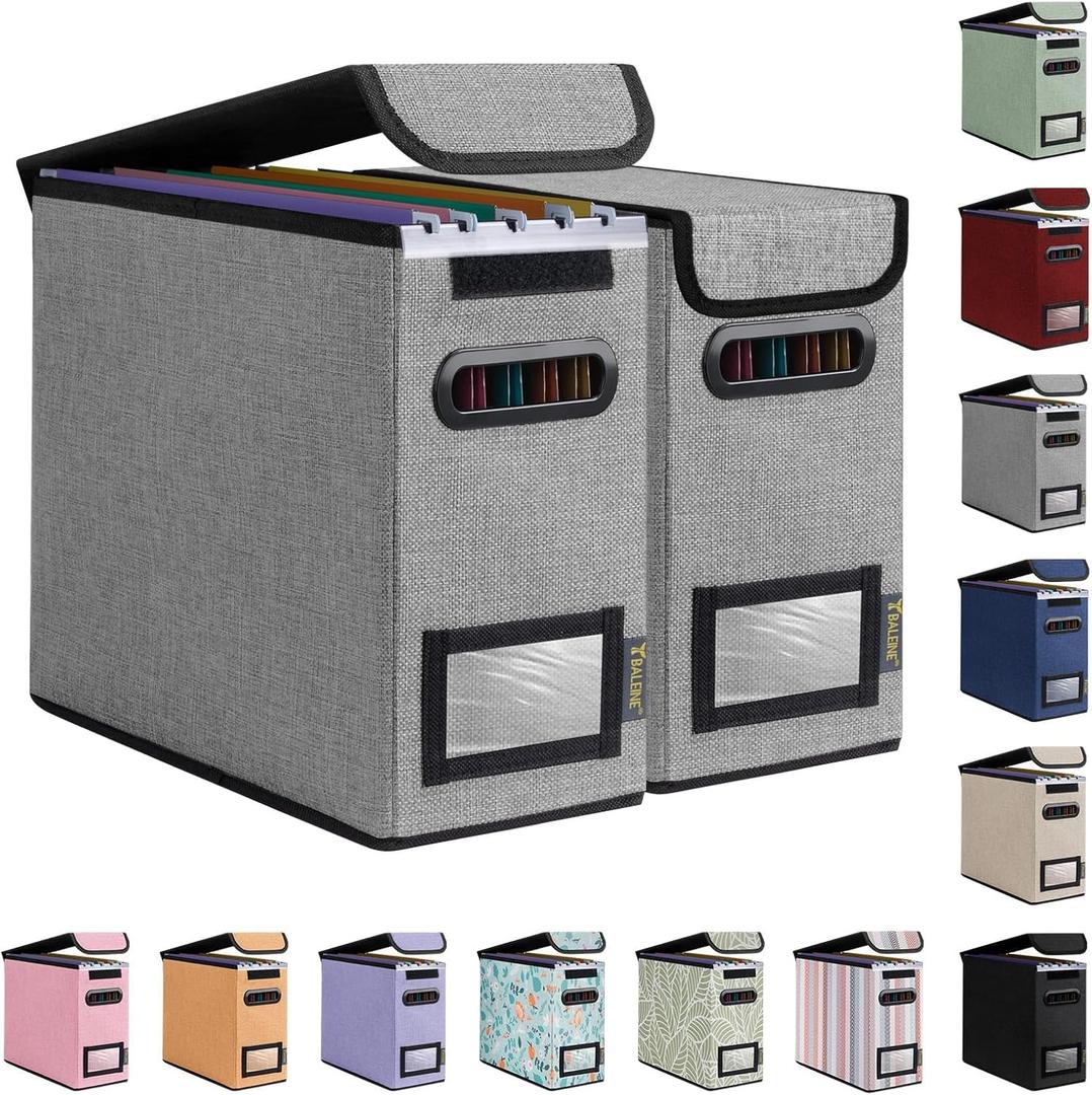 BALEINE File Organizer Box with Lid, Collapsible File Folder Organizer with Plastic Slide, Hanging File Folder Box for Office Document Storage (2 Pack, Grey, S) BALEINE File Organizer Box with Lid, Collapsible File Folder Organizer with Plastic Slide, Hanging File Folder Box for Office Document Storage (2 Pack, Grey, S)