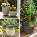 Impresa Rubber Pot Risers - Non-Marking Pot Feet & Slip-Resistant Base - Heavy-Duty Support & Plant Lift - 6000 lb Capacity & Outdoor Riser - 20 Pack, 2 x 2 x 3/4 in, Black
