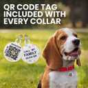 BronzeDog Rolled Leather Dog Collar with QR ID Tag, Adjustable Soft Round Collars for Small Medium Large Dogs Puppy (11" - 14 1/2" Neck Size, Turquoise)