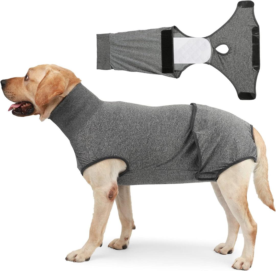 HEYWEAN Full Body Dog Diaper with a Puppy Nappies Physiological Dog Surgery Recovery Suit for Male Female Dogs (Gray, L)