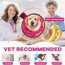 Inflatable Dog Cone Collar with Detachable Sturdy Shield,Soft&Lightweight-Ideal for Post-Surgery Recovery and Daily Wear,Suitable for Small Medium Large Dog Breeds(Donut Pink,L) (L(Neck:15-18"))