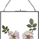 Glass Pressed Flower Frames,Vintage Hanging Picture Frames with Chain,Handmade Brass Floating Picture Frame,Plant Specimen Wall Ornament Display DIY Family Photo,Square,Black,8x8 Inches (8L" x 8W")