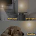 2 x Butterfly Lavender Night Light Plug into Wall 0.5W LED Lights Auto on/Off for Family Friends Holiday Gifts & Home Decor