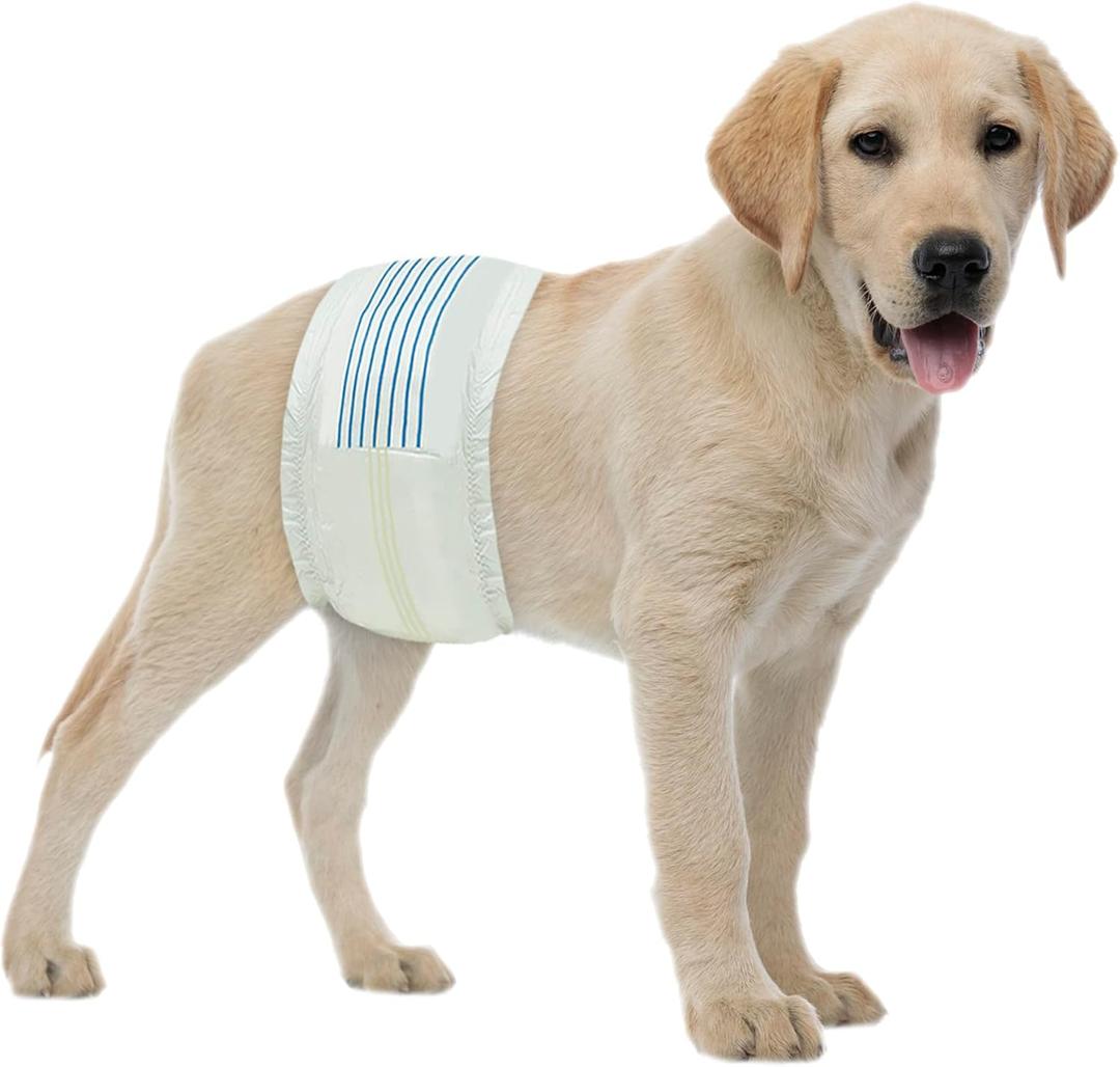 BV Dog Diapers Male Medium (Waist 13-23in) Super Absorbent - 50 Count Disposable - Doggie Diapers with Wetness Indicator - Adjustable Male Dog Wraps - Ideal for Incontinence/Training BV Dog Diapers Male Medium (Waist 13-23in) Super Absorbent - 50 Count Disposable - Doggie Diapers with Wetness Indicator - Adjustable Male Dog Wraps - Ideal for Incontinence/Training