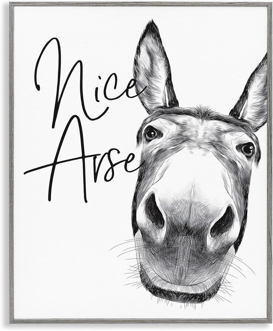Stupell Industries Animal Humor Nice Arse Donkey Bathroom Phrase, Designed by Lettered and Lined Wall Art, 16x20 Stupell Industries Animal Humor Nice Arse Donkey Bathroom Phrase, Designed by Lettered and Lined Wall Art, 16x20