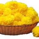 Artificial Marigold Flowers for Diwali Wedding Indian Theme Decorations Home Decoration Photo Prop Festival Pooja Decoration Da de Muertos Day of Dead Decoration (Lemon Yellow, 60)