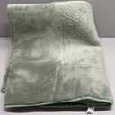 Green Plush Area Rug 47 in x 68 in