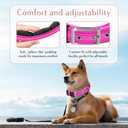 Comfort Fit Soft Padded Dog Collar – Adjustable, Lightweight & Durable – Waterproof, Reflective, No-Pull Training Collar for Small, Medium & Large Dogs – Comfortable, Stylish, All-Weather Fit