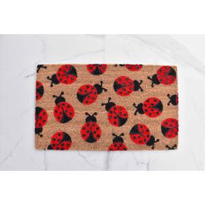 Ladybug Doormat, Cute Welcome Mat, Spring Decor, 16x24 Inch, Red
