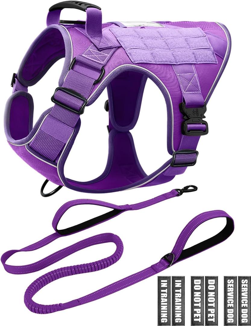 Service Dog in Training Vest Leash Set, Reflective Do Not Pet Dog Harness with Handle and 6 Patches, Full Metal Buckles, for Large Dogs Training Walking, X