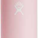 Hydro Flask 24 Oz Standard Flex Cap Trillium
