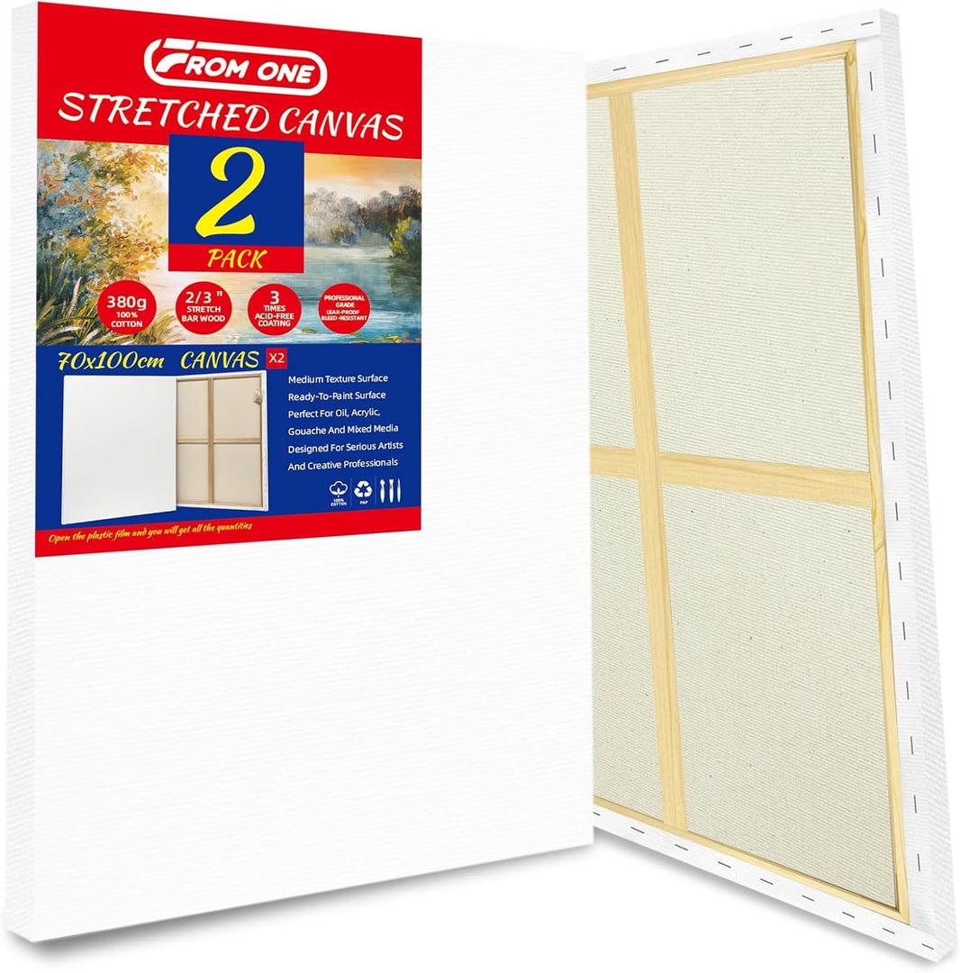 2-Pack Stretched Canvases 70x100cm (23 1/2inch x 39 1/3inch) 13.4oz (380gsm) Triple Gesso Primed, Warp-Resistant Large Pre-Stretched Canvas for Oil Painting & Gallery-Quality Acrylic Art, 2PK - 28"x40"