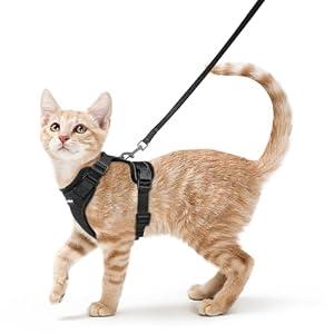 rabbitgoo Cat Harness and Leash Set, Escape Proof Kitten Harness for Safe Outdoor Walks, Soft Breathable Adjustable Vest with Reflective Strips for Kittens and Small Cats, Black, Xs