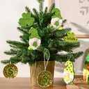 WDS WONDROUS St Patricks Day Ornaments 12-Piece Set, Felt Lucky Shamrock Irish Gnome Gold Coin Decorations with Hanging Strings for Christmas Tree Home Party Spring Decor