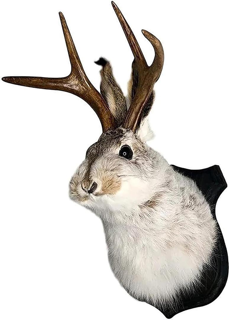 HSOSK Jackalope Mount, Jackalope Taxidermy, Deer Head Wall Mount, Resin Deer Head Animal Wall Art, for Home Wall Decoration