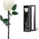 White Flowers for Delivery Prime, Preserved White Roses Flower Gifts for Women, Real Roses Single Rose Gifts for Her, Mom Birthday Gifts from Daughter, Valentines Flowers