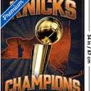 NBA New York Knicks - 2026 NBA Finals Team Logo Wall Poster, 34L" x 22.4W", Premium Unframed Version