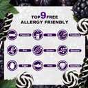 3 x Black Swirl Lollipops 32 PK, Twisty & Swirl Individually Wrapped Lollipops Sucker Candy Bulk, Candy Birthday, Halloween Suckers Lollipops Snacks, Trick or Treat, Candy Buffet Blackberry Flavor (EXP 06/14/27)