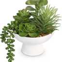 8.7 Small Succulents Cacti Plants Artificial in Ceramic Pots Potted Faux Succulent Arrangement with High Bowl Planter Fake Desk Succulents Cactus Plants for Home Bathroom Shelf Table Indoor Decor (# Succulent Style 2)