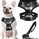 PUPTECK Soft Mesh Dog Harness and Leash Set Pet Puppy Cat Comfort Padded Vest No Pull Harnesses, Black, L (L (Neck: 17", Chest: 18.8"-24"))