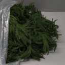 15FT Christmas Garland Norfolk Pine Garland Real Touch Artificial Greenery Garland for Mantle Fireplace Table Indoor Outdoor Holiday Decortions (Dark Green)