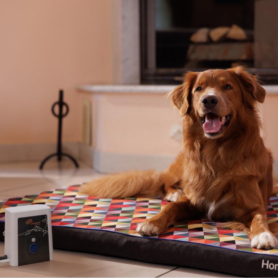 petspemf RollnRest Therapeutic PEMF Dog Bed – Orthopedic Cooling Memory Foam Bed for Dogs with Joint Support & Recovery, Elara Cover, Large 47.2" x 35.4"