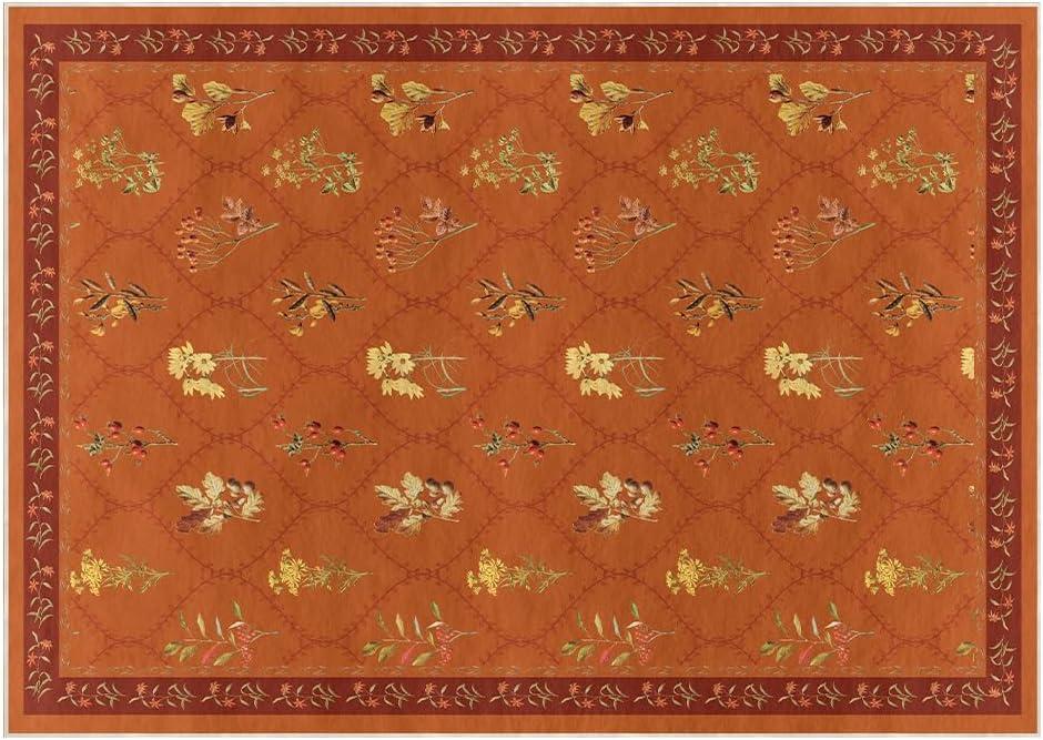 Artoid Mode Rust Orange Floral Geometric Modern Fall Area Rug, Autumn Thanksgiving Home Decor Non Slip Washable Area Rug for Entryway Bedroom Living Room Laundry Room Indoor 5x7 Feet