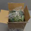 MiaTen Artificial Eucalyptus Greenery Stems in Ceramic Vase 10Pcs Fake Plants Eucalyptus Leaves for Centerpiece Table Decorations Home Room Decor Office Desk Decor Greenery Decor Indoor (Beige)