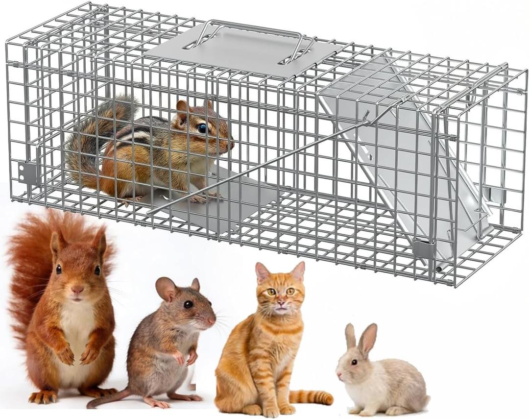 Humane Live Animal Cage Trap, Heavy Duty, Catch and Release for Raccoons, Cats, Squirrels, Rabbits, No Assembly Required (24 in Silver)