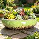 Succulent Pots, 10 Inch Shallow Planter with Drainage, Green