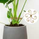 Climbing Plant Stem Support, Metal Gold Plant Stem Holders, Monstera Plant Growth Stakes Trellis for Indoor Outdoor Garden