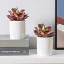 Duovlo Artificial Succulent Plant 7.08 Inch Faux Succulents Agave potatorum Flower Arrangement Craft Wall DIY Materials Pack of 2 (Dark Purple)