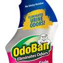 OdoBan Pet Oxy Stain Remover, 32 Fl. Oz.