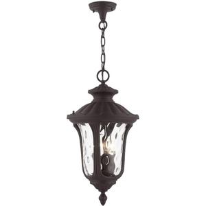 Livex Lighting 7858-07 Oxford 3 Light Outdoor Hanging Lantern, Bronze