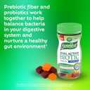 Benefiber Prebiotic Fiber Supplement Gummies with Probiotics for Digestive Health, Assorted Fruit Flavors - 50 Count