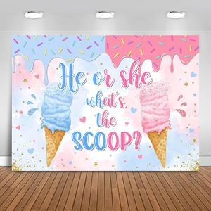 Ice Cream Gender Reveal Backdrop 7x5ft He or She What's The Scoop Summer Gender Reveal Party Decorations Background Boy or Girl Banner Photo Booth Props